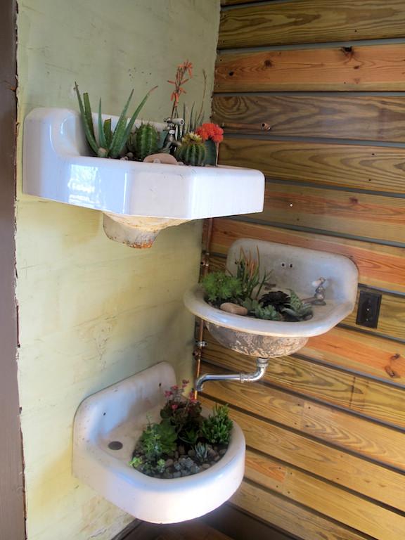 Succulent sink planter
