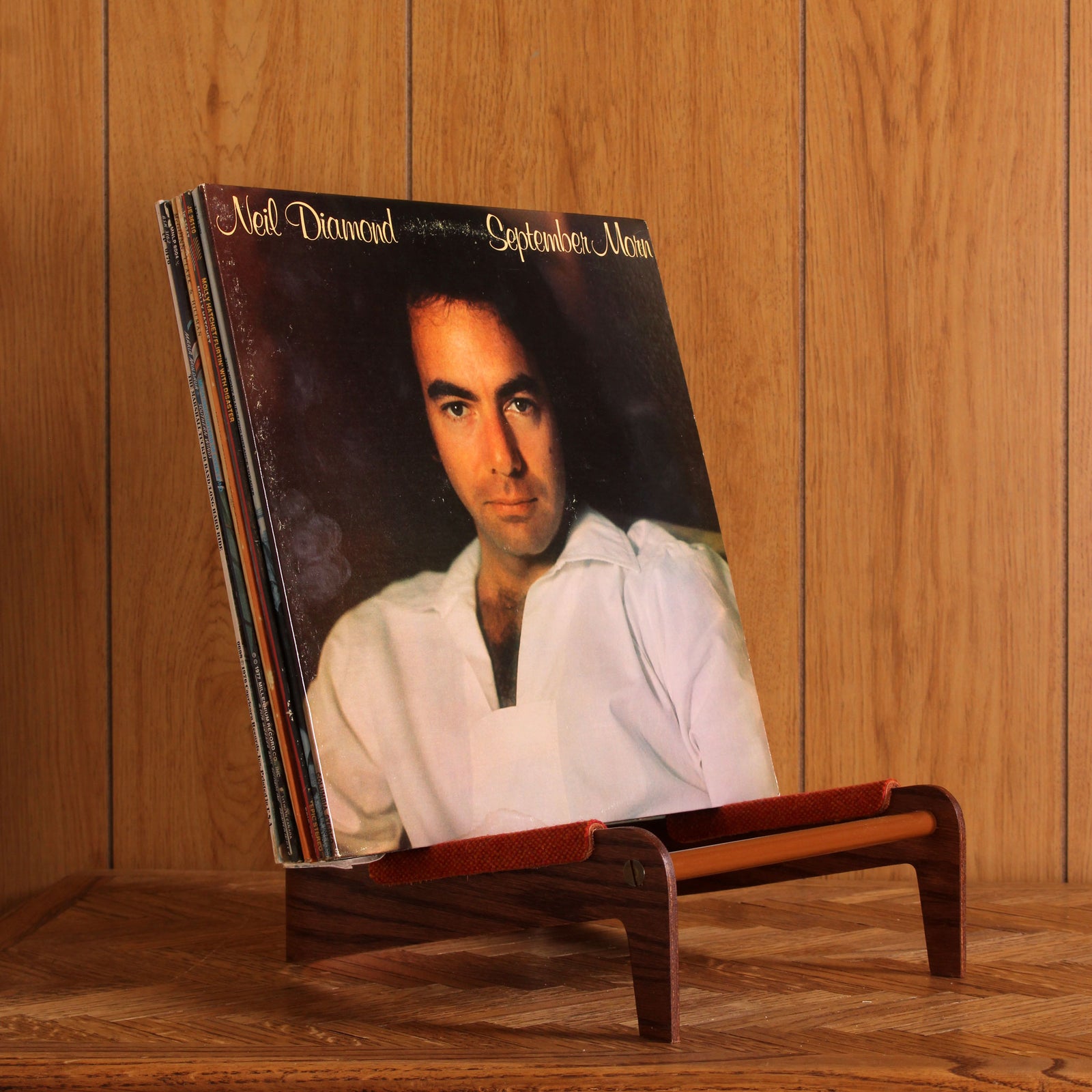 Vinyl Stand: VHS Edition