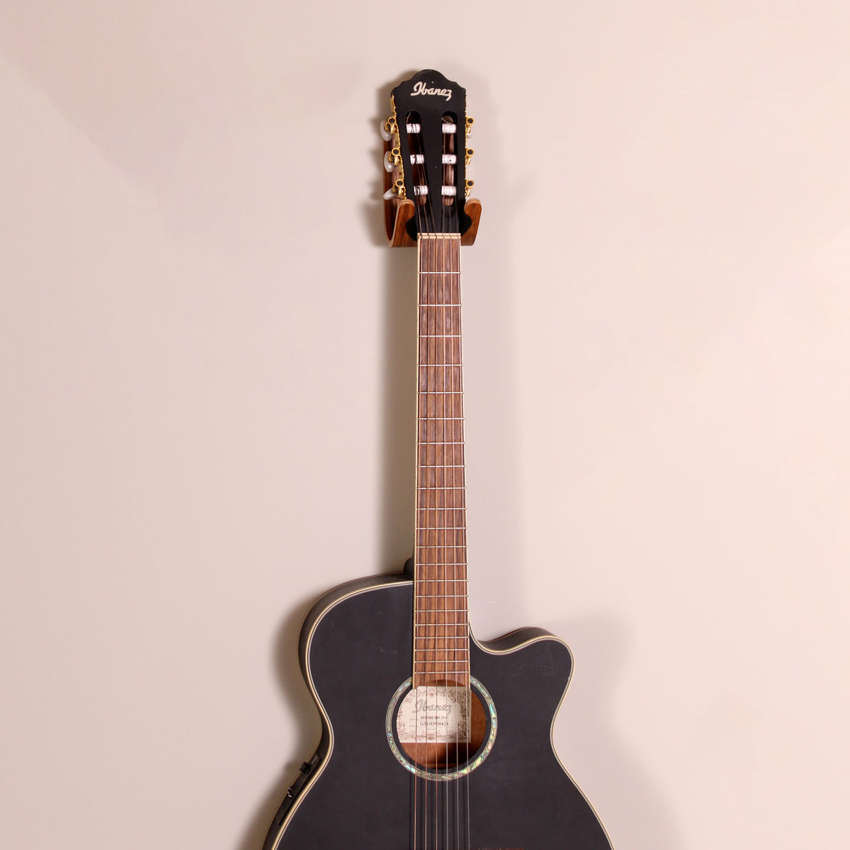 Standard Guitar Hook