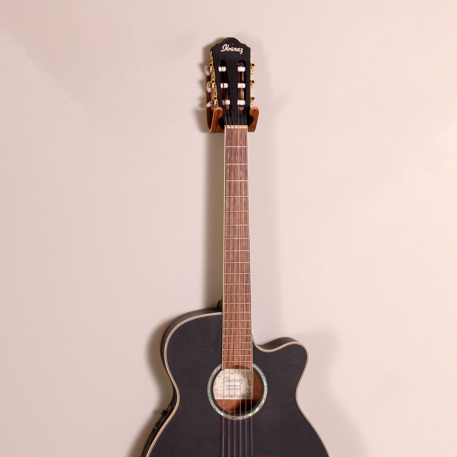 Standard Guitar Hook