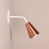 Monte Carlo wall sconce onefortythree second