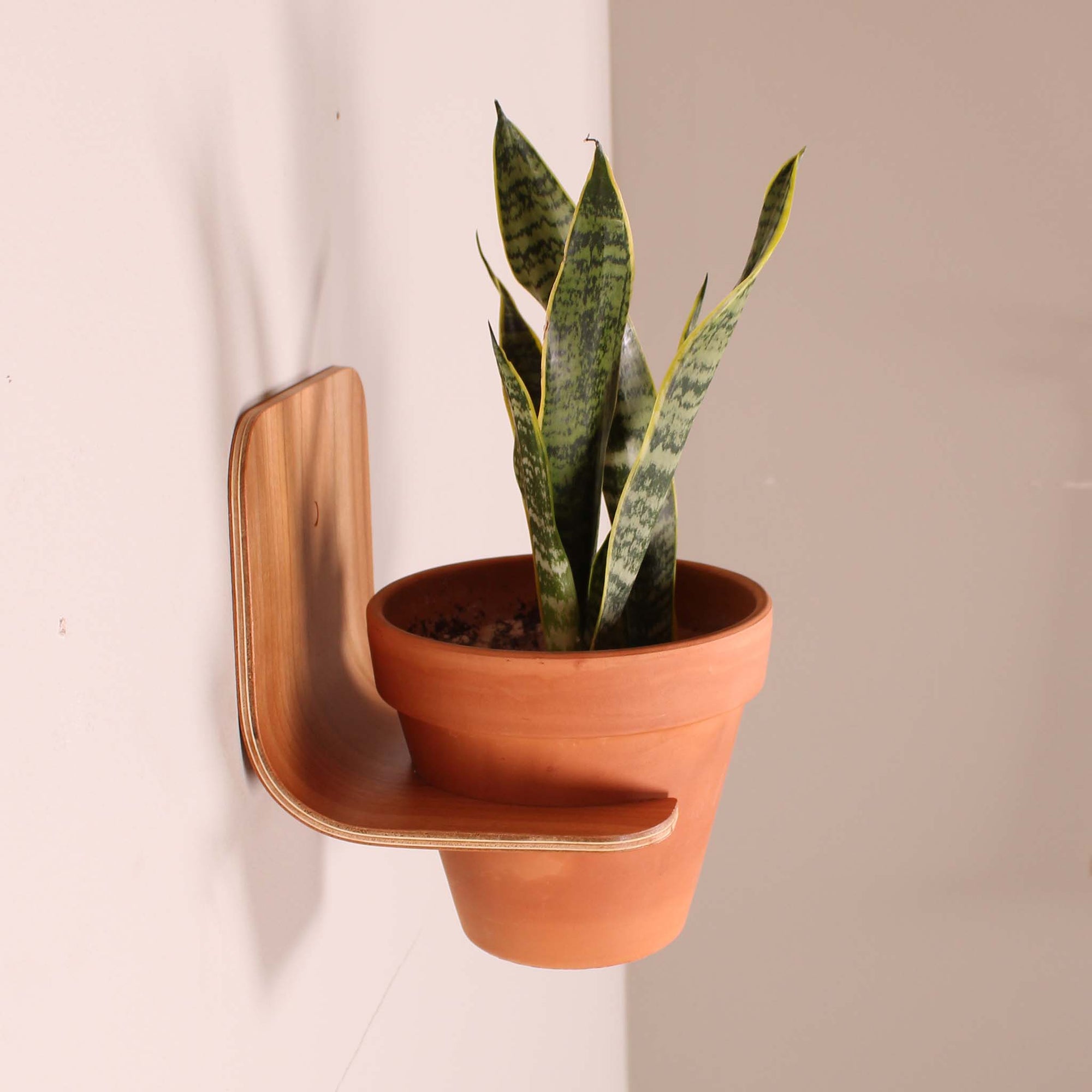 indoor pot plant shelves Onefortythree Planter Shelf In Oak