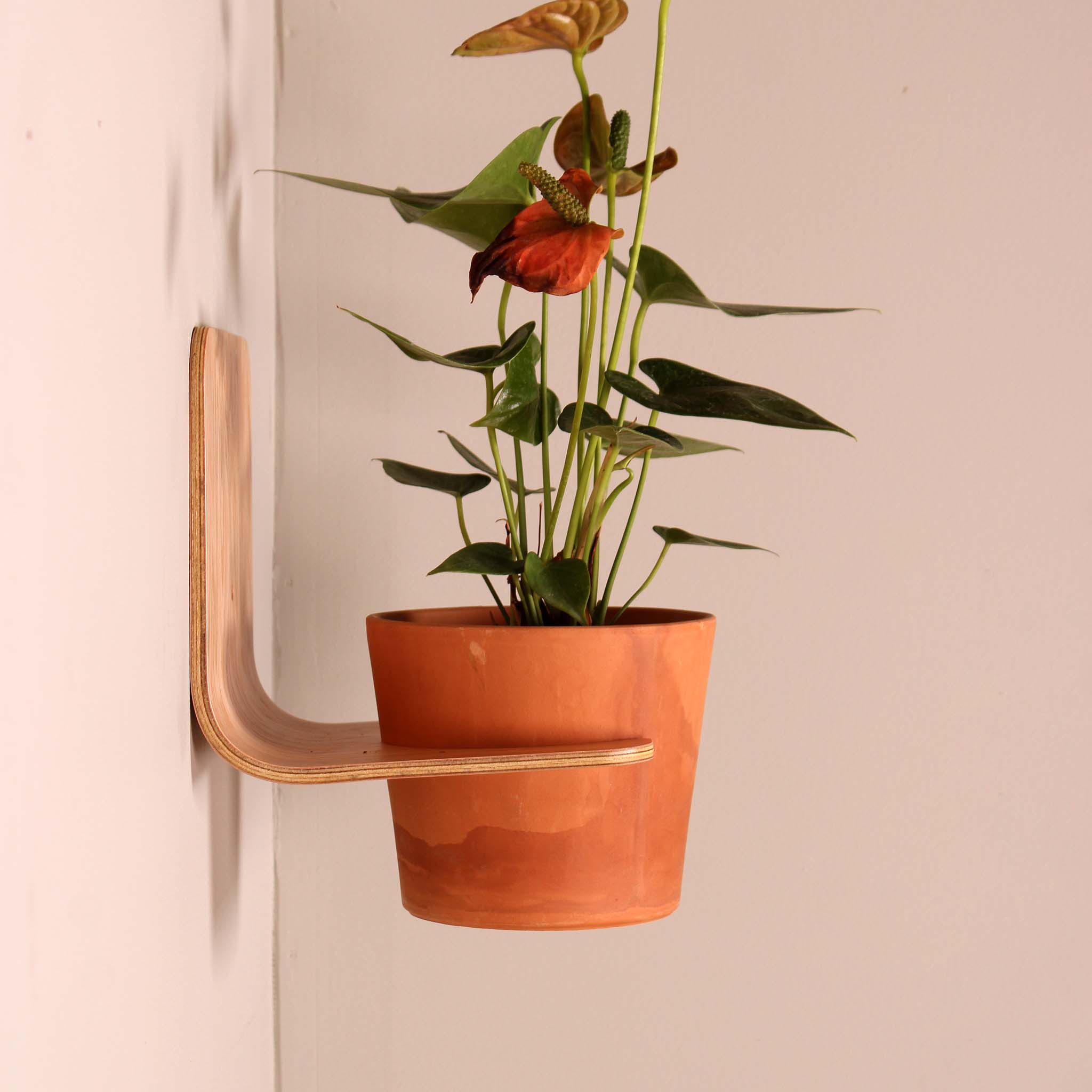 hanging planter shelves Wall mounted planter holder