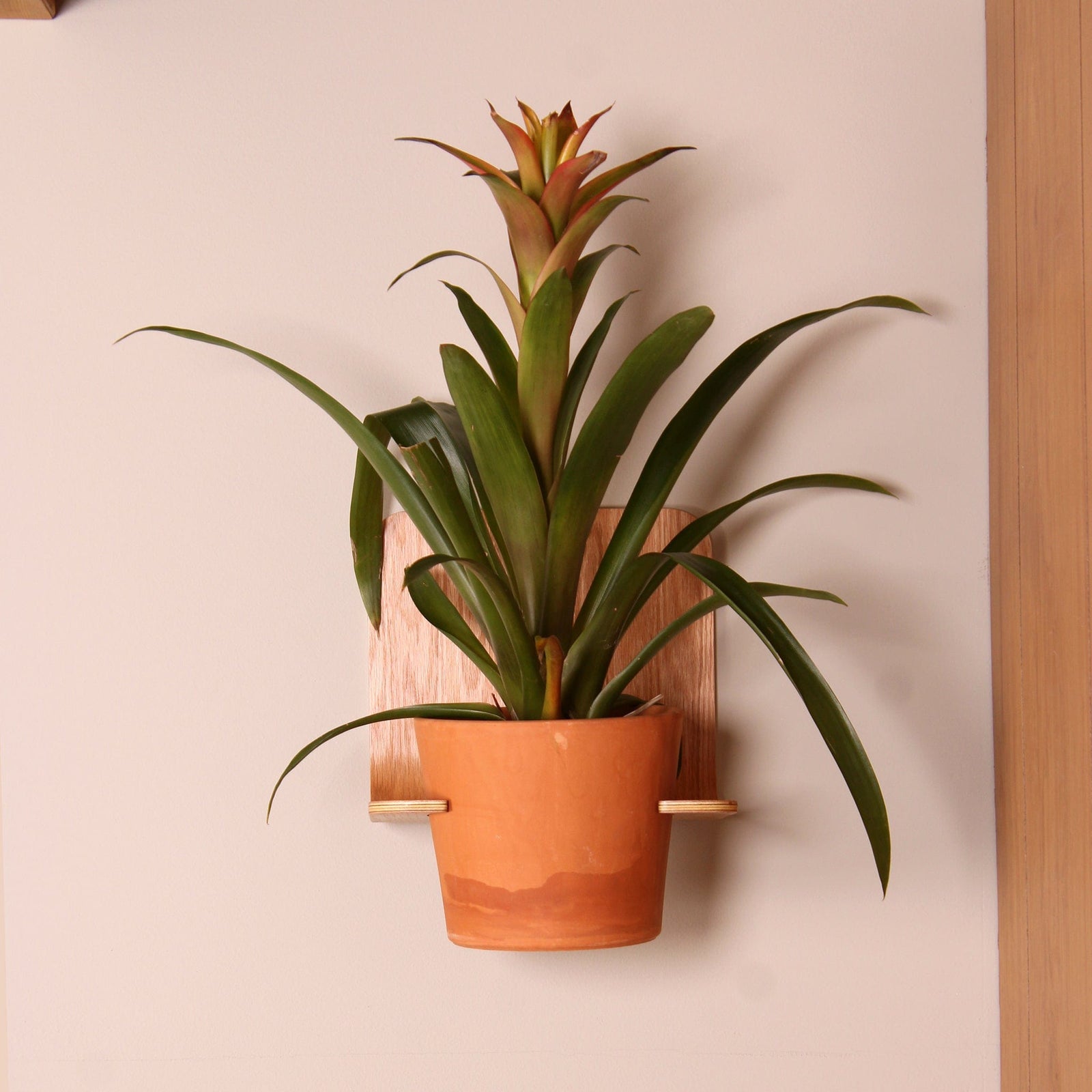 Planter Shelf onefortythree