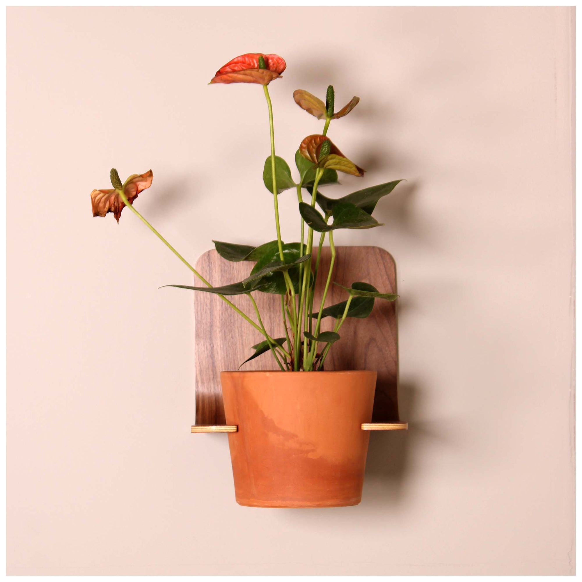 pot plant wall hanger Wall mounted planter holder