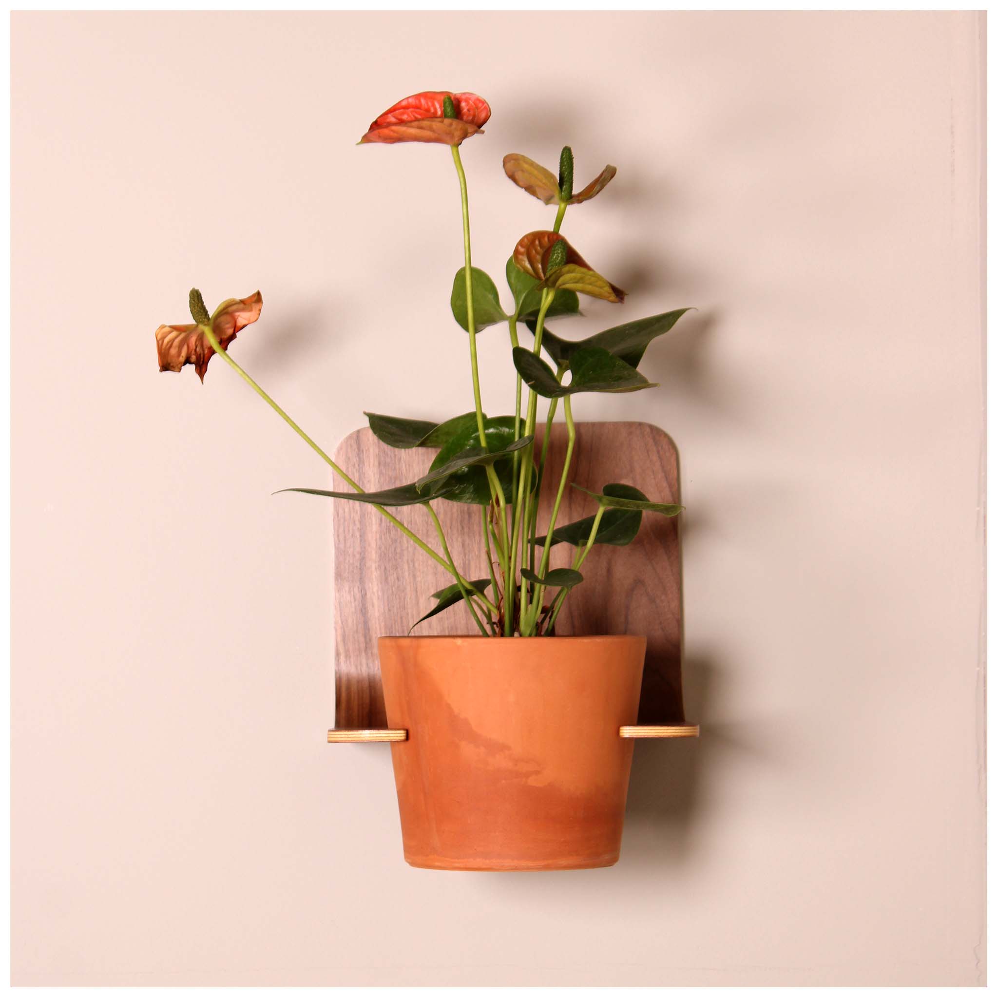 wall mounted pot plant rack Wall mounted planter holder
