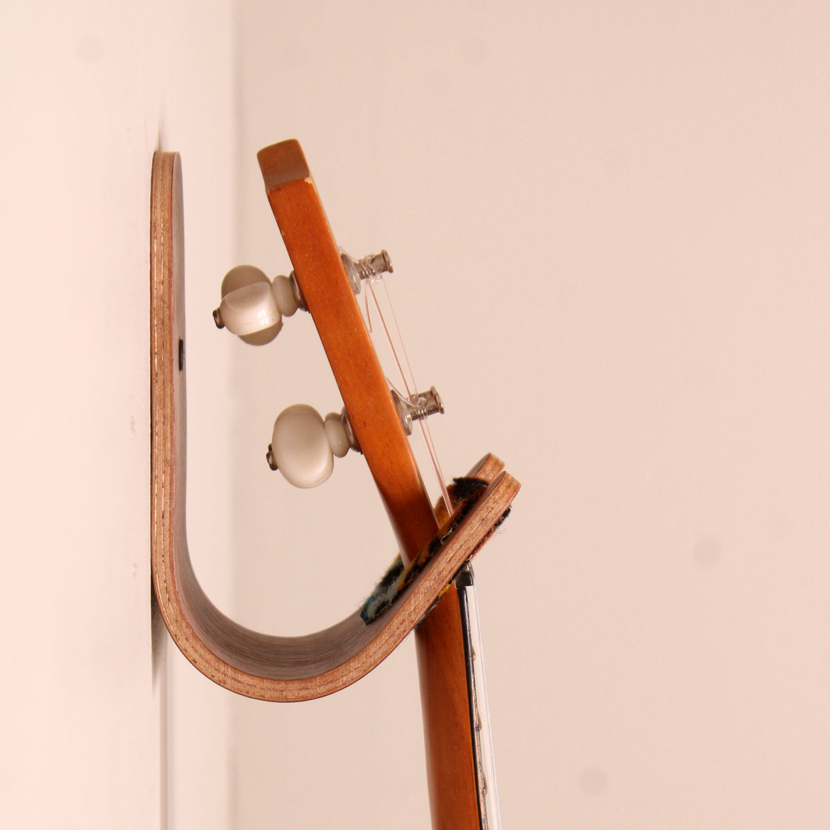 Ukulele Hook