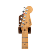 Walnut / Standard guitar / Saddle leather second
