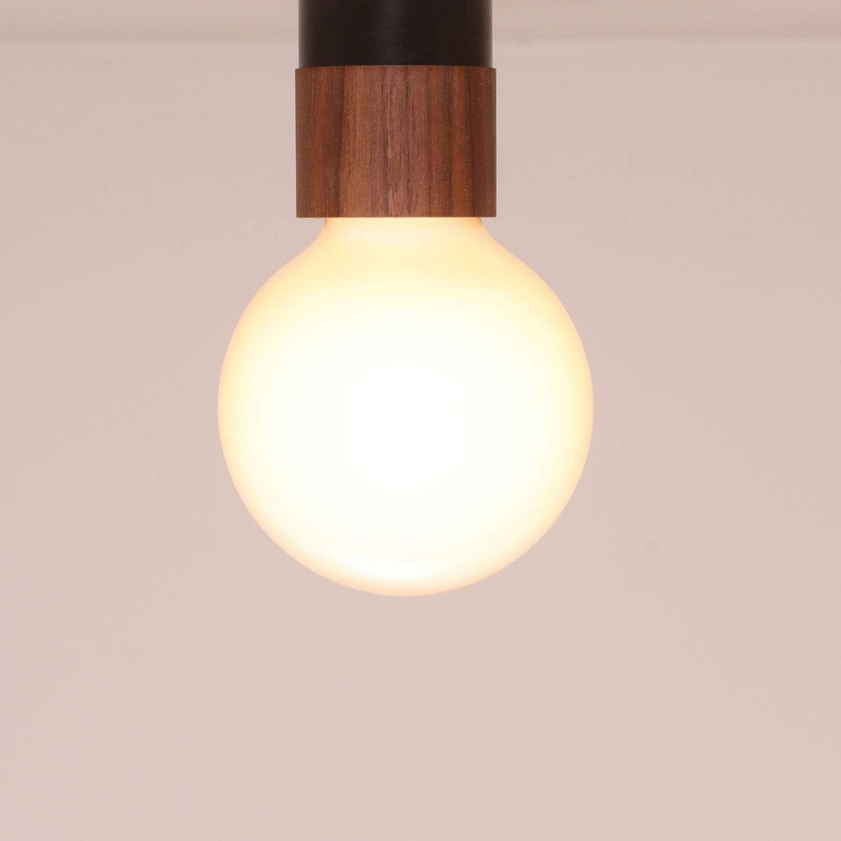 LED frosted globe bulb onefortythree
