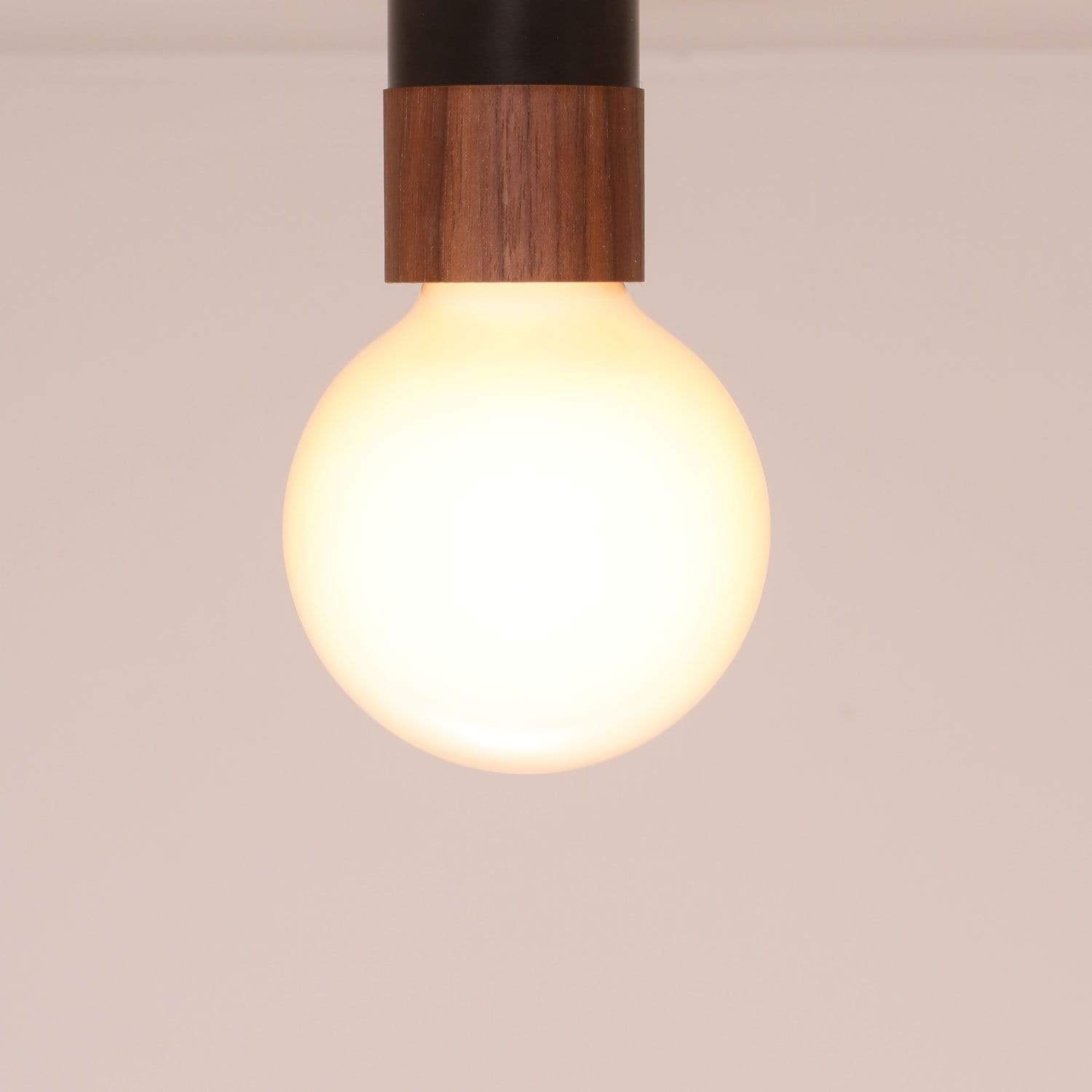 LED frosted globe bulb onefortythree
