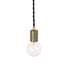 Pendant lamp: plug-in Cactus / Black cord / Brass hardware onefortythree second