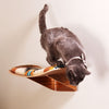 Wall Mounted Cat Perch onefortythree second